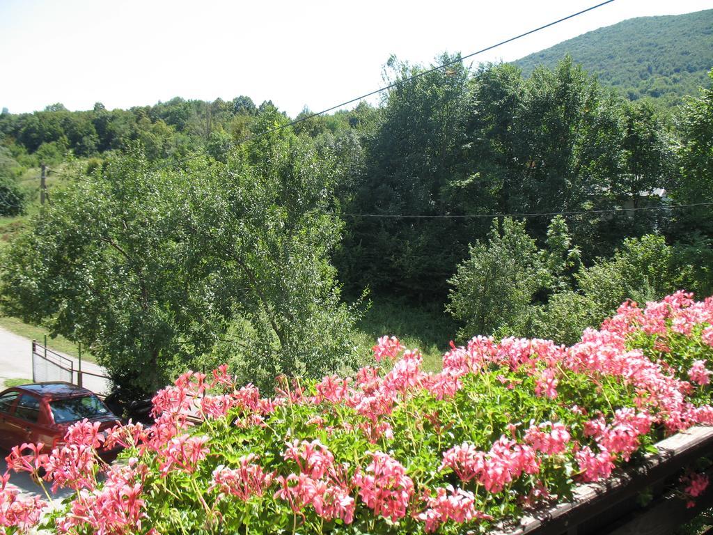 House Zlatko Seliste Dreznicko Exterior foto