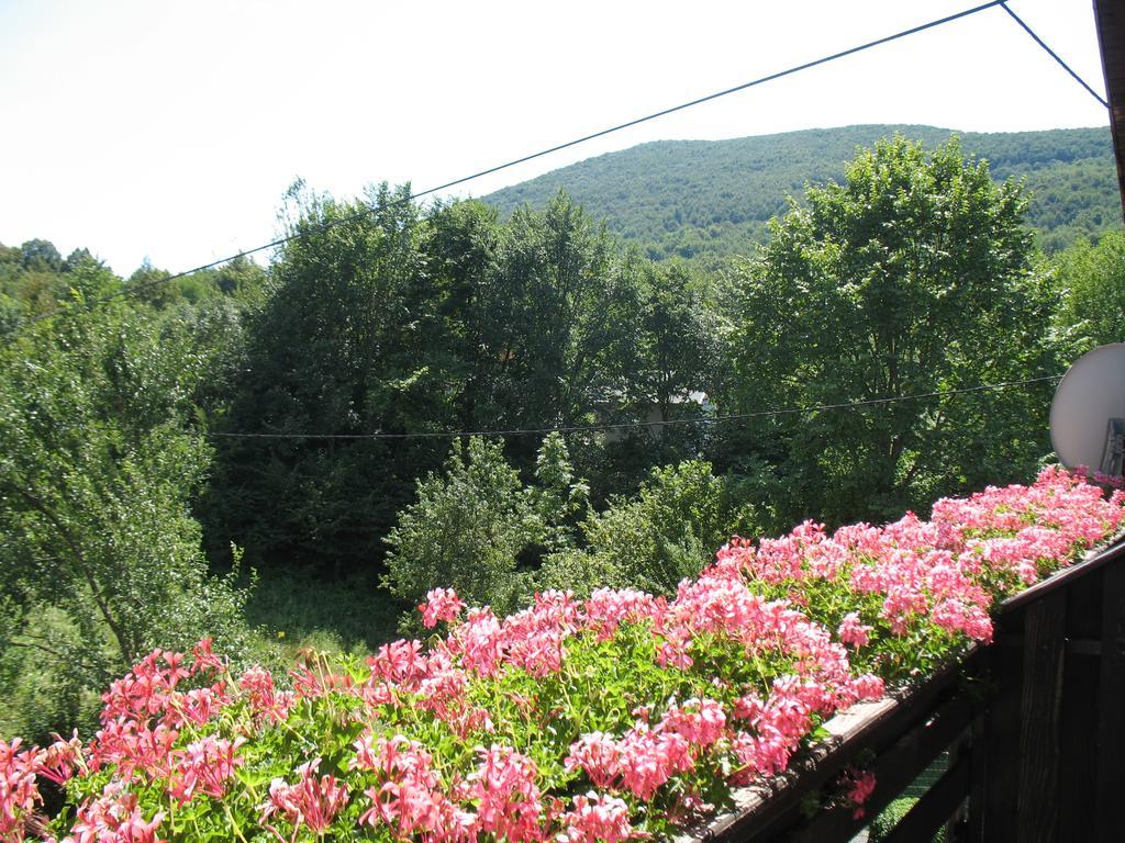 House Zlatko Seliste Dreznicko Exterior foto